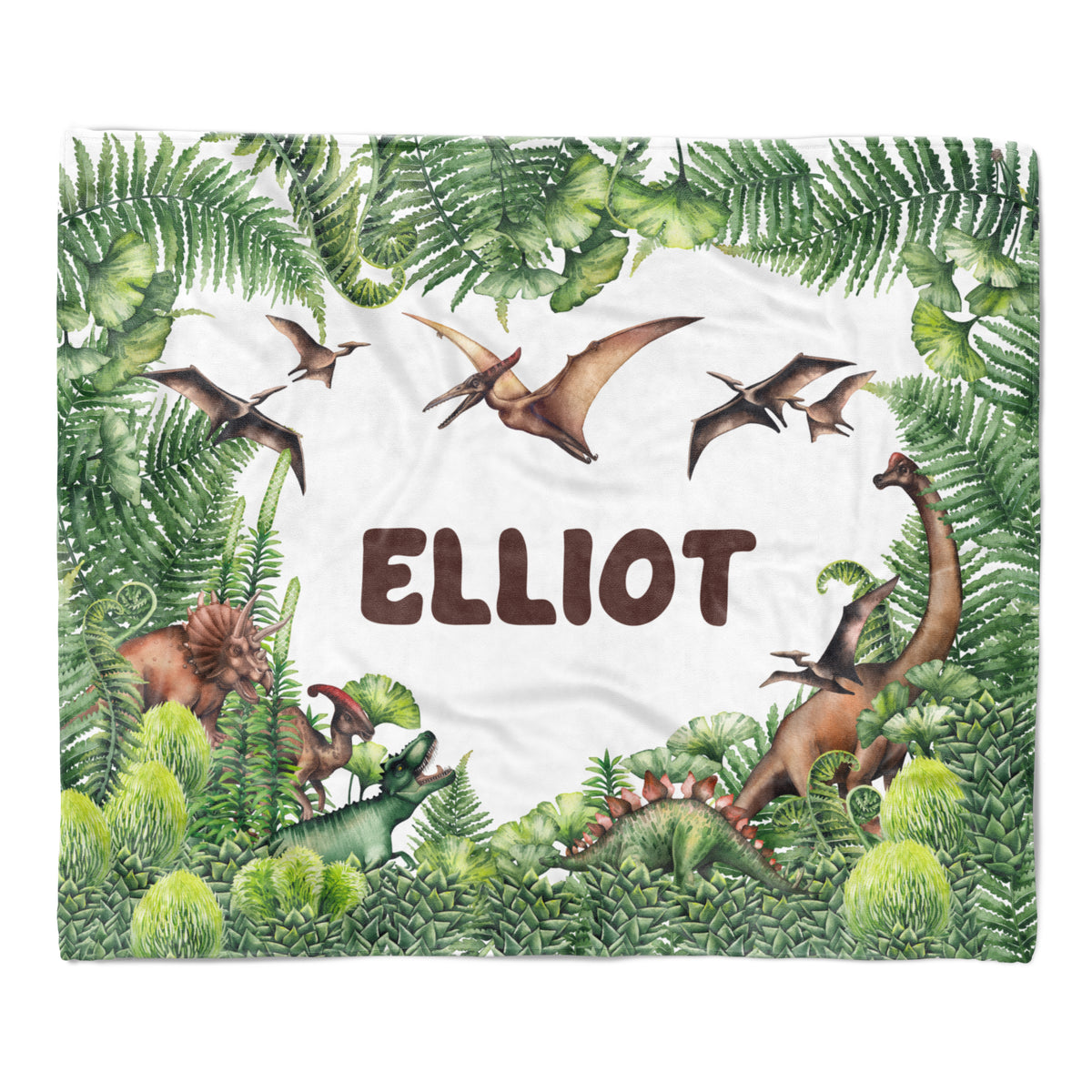 Dinosaur Minky Blanket Personalized Custom