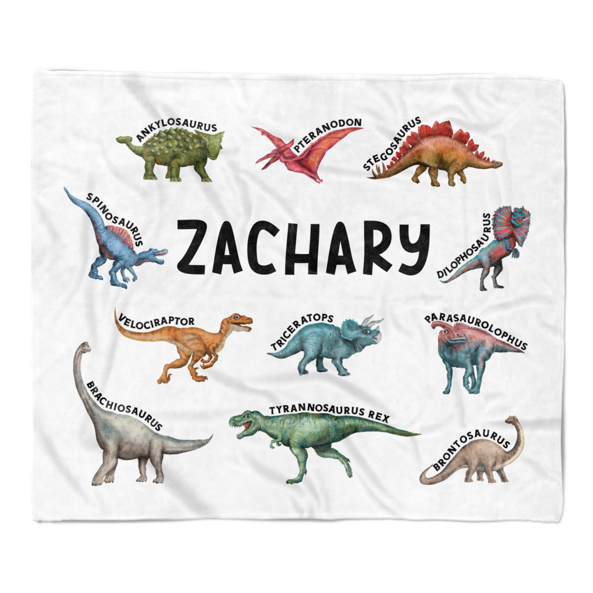 Dinosaur Minky Blanket Personalized Custom
