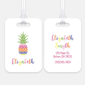 Pineapple Rainbow Luggage Bag Tag