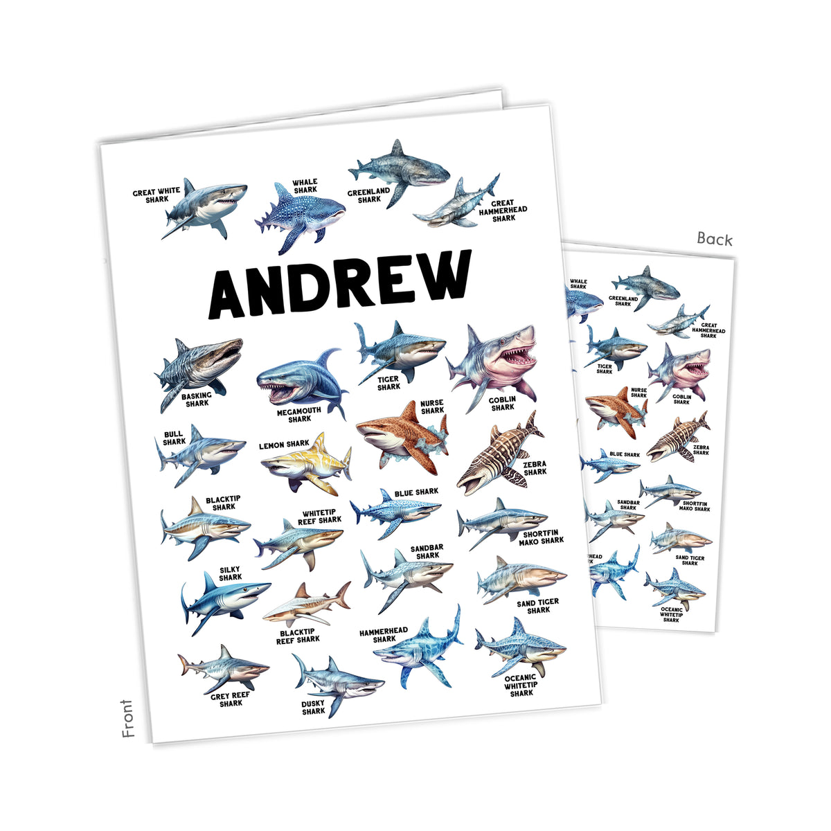 Shark Personalized Custom 2-Pocket Folder • School Office Supplies