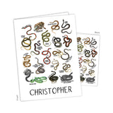 Snakes Personalized 2-Pocket Folder